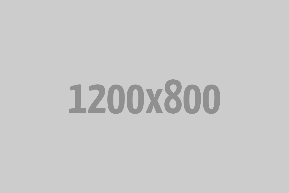 divi-digital-16